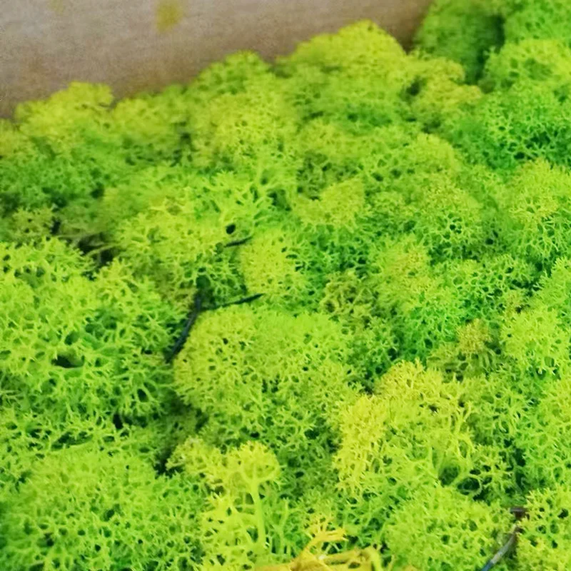 رخيصة 500/100 جرام النباتات الخضراء الاصطناعية الحياة الأبدية الطحلب العشب المشهد الصغير العشب وهمية Crafts بها بنفسك الحرف حديقة ديكور المنزل المعيشة