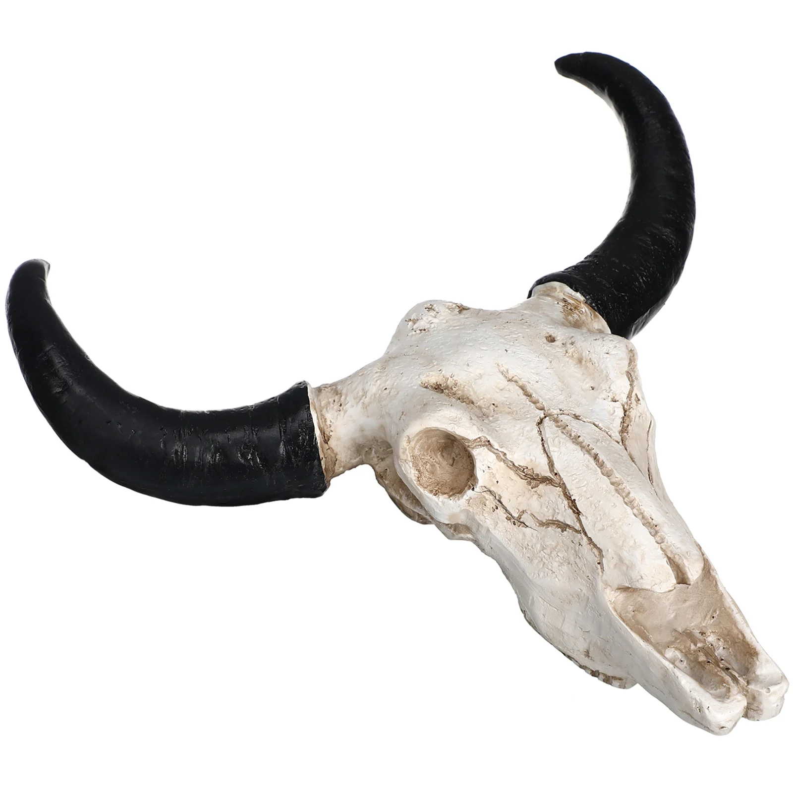 

Wall Hangings Cow Skull Resin Craft Small Props Halloween Decor Home Wall Decoration Piece Figurines Crafts
