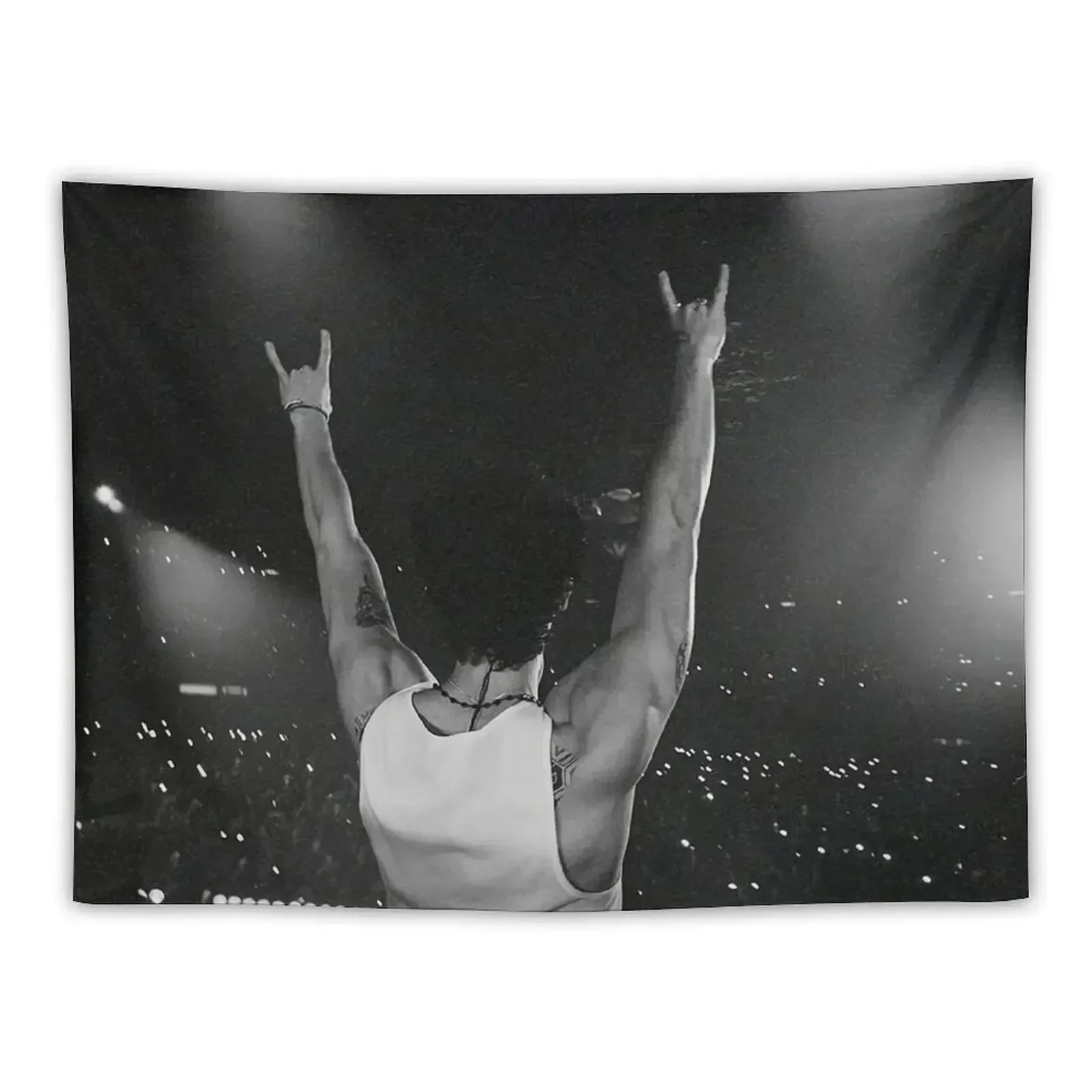 

Greeting Mendes On Stage Tapestry Room Decorator Japanese Room Decor Cute Room Decor Tapestry