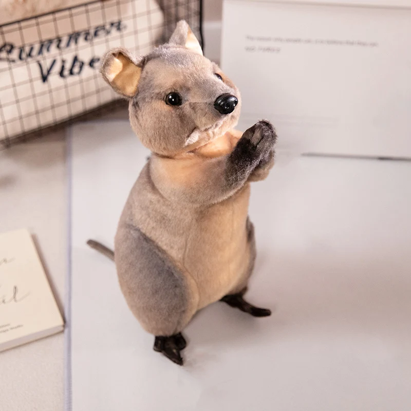 35 سنتيمتر جديد Kawaii البرية الحيوان أفخم دمية الدائمة نعمة قضاعة البحر قضاعة الكنغر الراكون ألعاب من نسيج مخملي ديكور المنزل