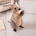 kangaroo