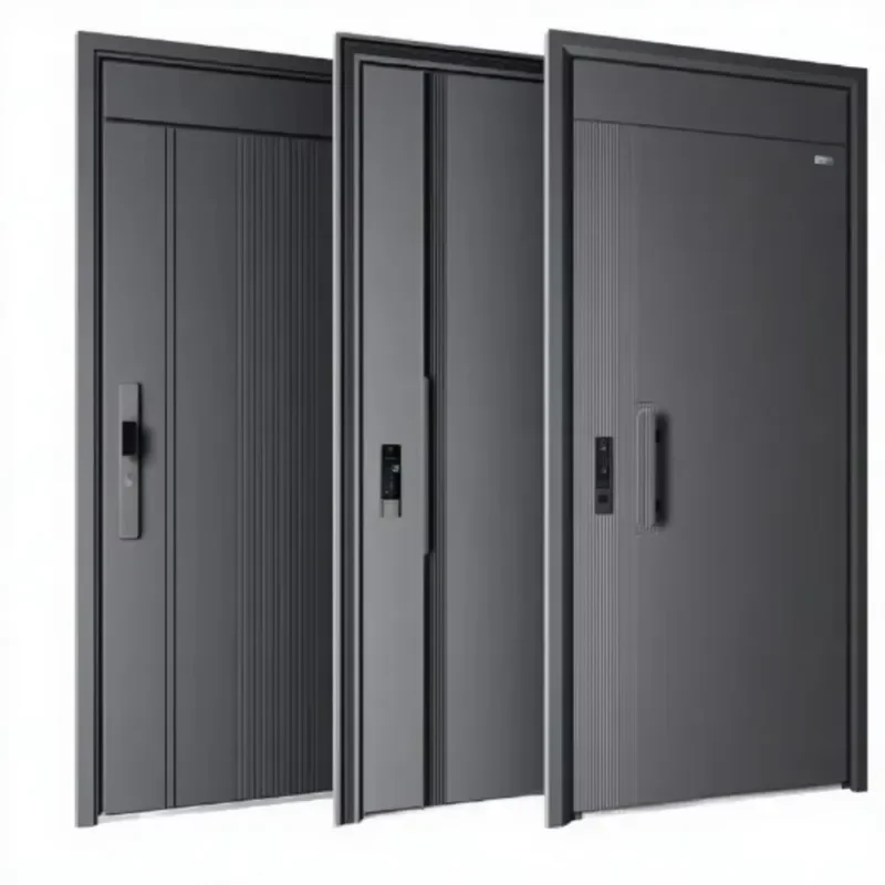 Modern Stainless Steel Anti Theft Door Waterproof Treated Surface For External Commercial Residential Use