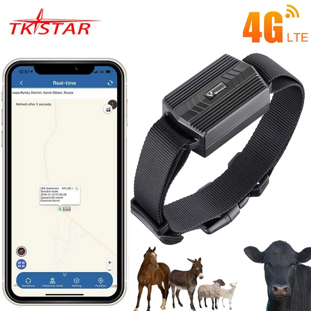 الحيوان الجمل 4G لتحديد المواقع المقتفي للبقرة TK935 TKSTAR الجمل لتحديد المواقع محدد مقاوم للماء لتحديد المواقع المقتفي سيارة المغناطيس تطبيق ويب مجاني