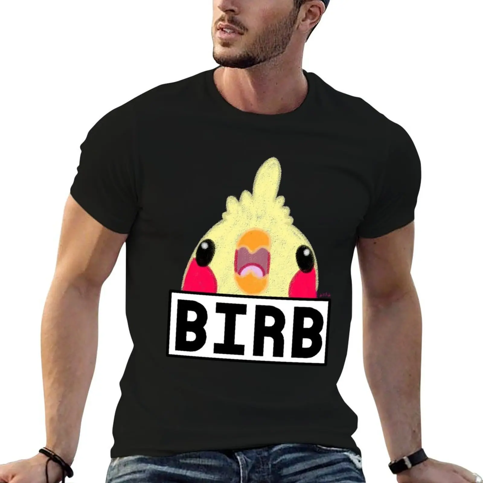 

BIRB T-Shirt man t shirts graphic cotton tshirt 100% cotton t shirt pack T-Shirt