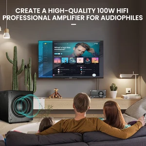 Mini güç amplifikatörü 100w'nin en iyi 10 satışı-1 numara