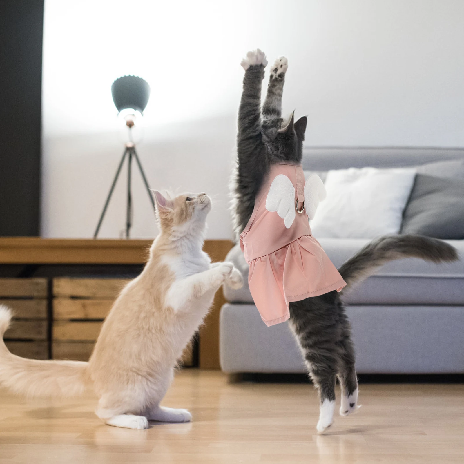 

Cat Dress Pet Decorative Apparel for Costume Portable Clothes Comfortable Summer Dresses Pets