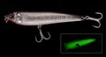 Silver Fish