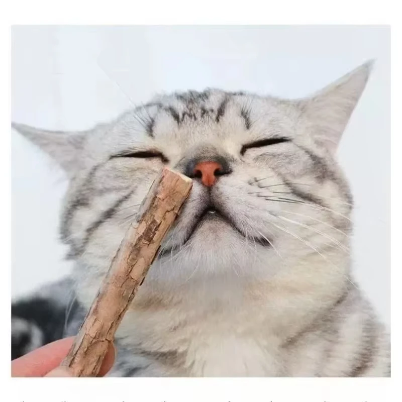 Catnip Chew Sticks 20Pcs, Natural Woodruff Cat Toys - for Teeth Cleaning & Kitten Entertainment image 2