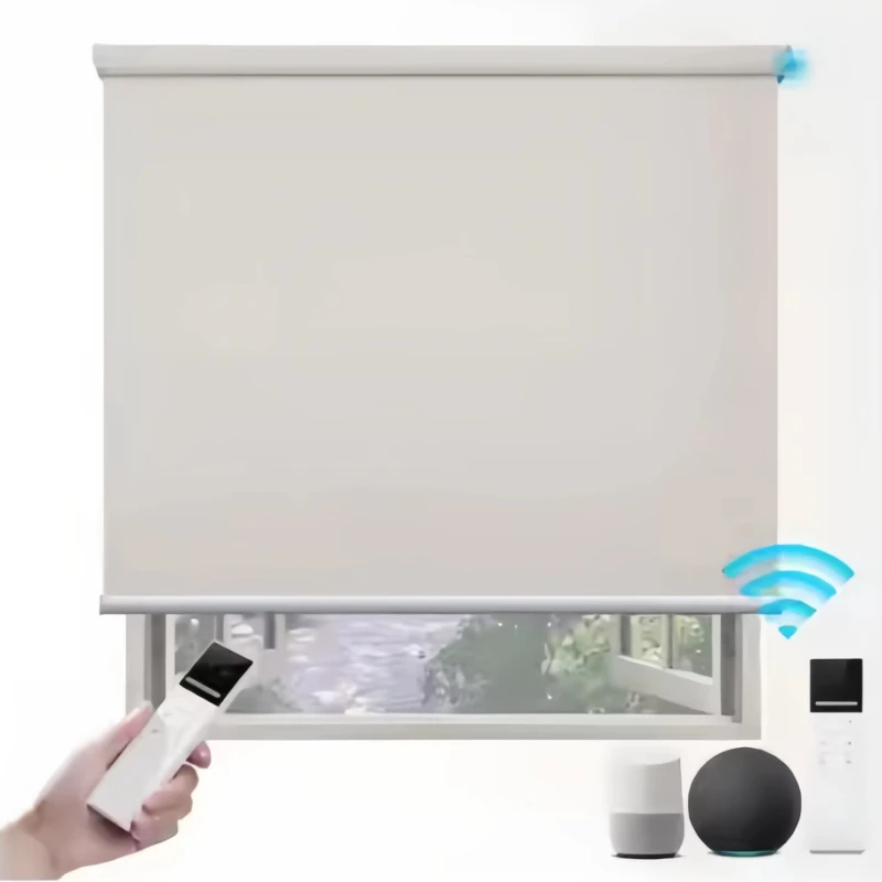 Custom Tuya Smart Window Motorized Roller Blind Wireless Electric Polyester Built-in Horizontal Remote Plastic Plain