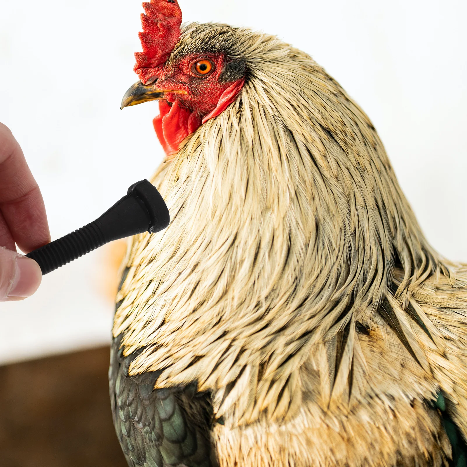 

10Pcs Black Rubber Yellow Tendon Poultry Plucking Fingers Chicken Duck Goose Hair Removal Stick For Farm