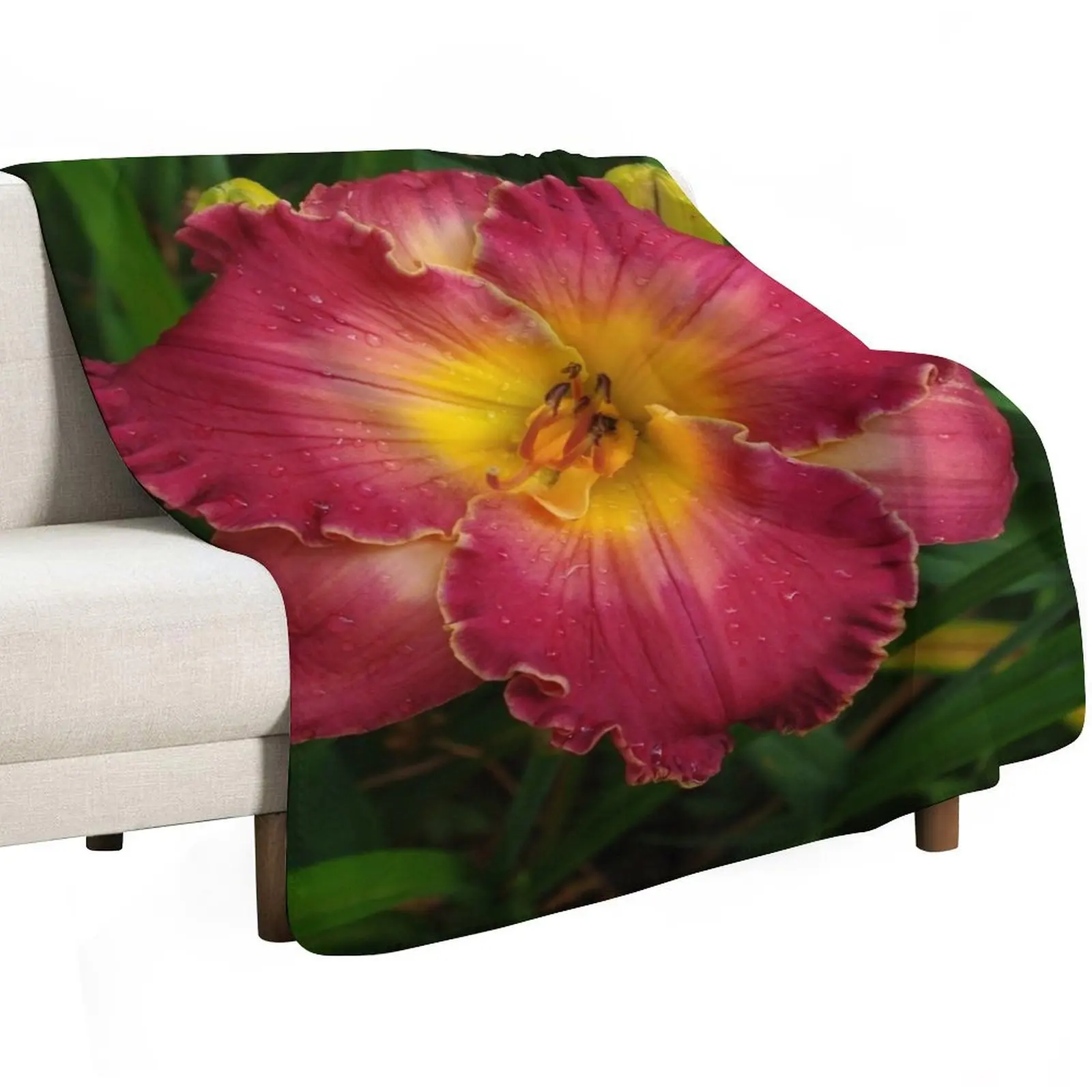 Sis Boom Bah daylily!A vibrant world of rose and gold Throw Blanket Machine Washable Soft Warm Blanket