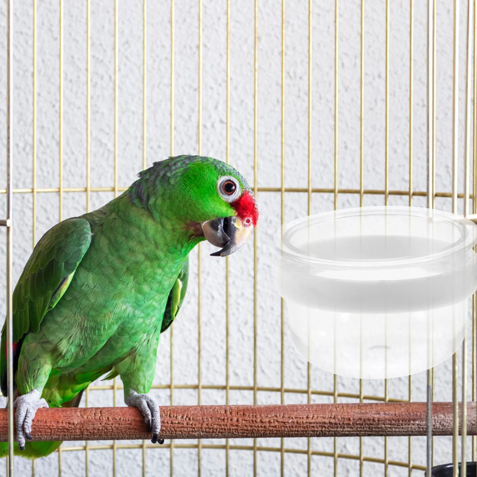 Tazze Ciotola trasparente rimovibile Cibo in plastica per mangiatoia per pappagalli facile da appendere Porta uccelli per animali domestici