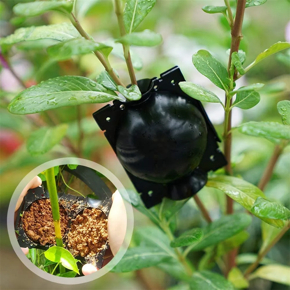 10 szt. Pudełko do uprawy korzeni roślin Cięcie Szczepienie Kula ukorzeniająca Ogród Sapling Kule do rozmnażania (5/8/12 cm) Sprzęt do hodowli