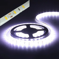 White Led Strip 12V Waterproof Outdoor Green Diode Tape 5M 2835 60 Leds/M Blue Red Yellow Led Band Ice String Cuttable Ribbon