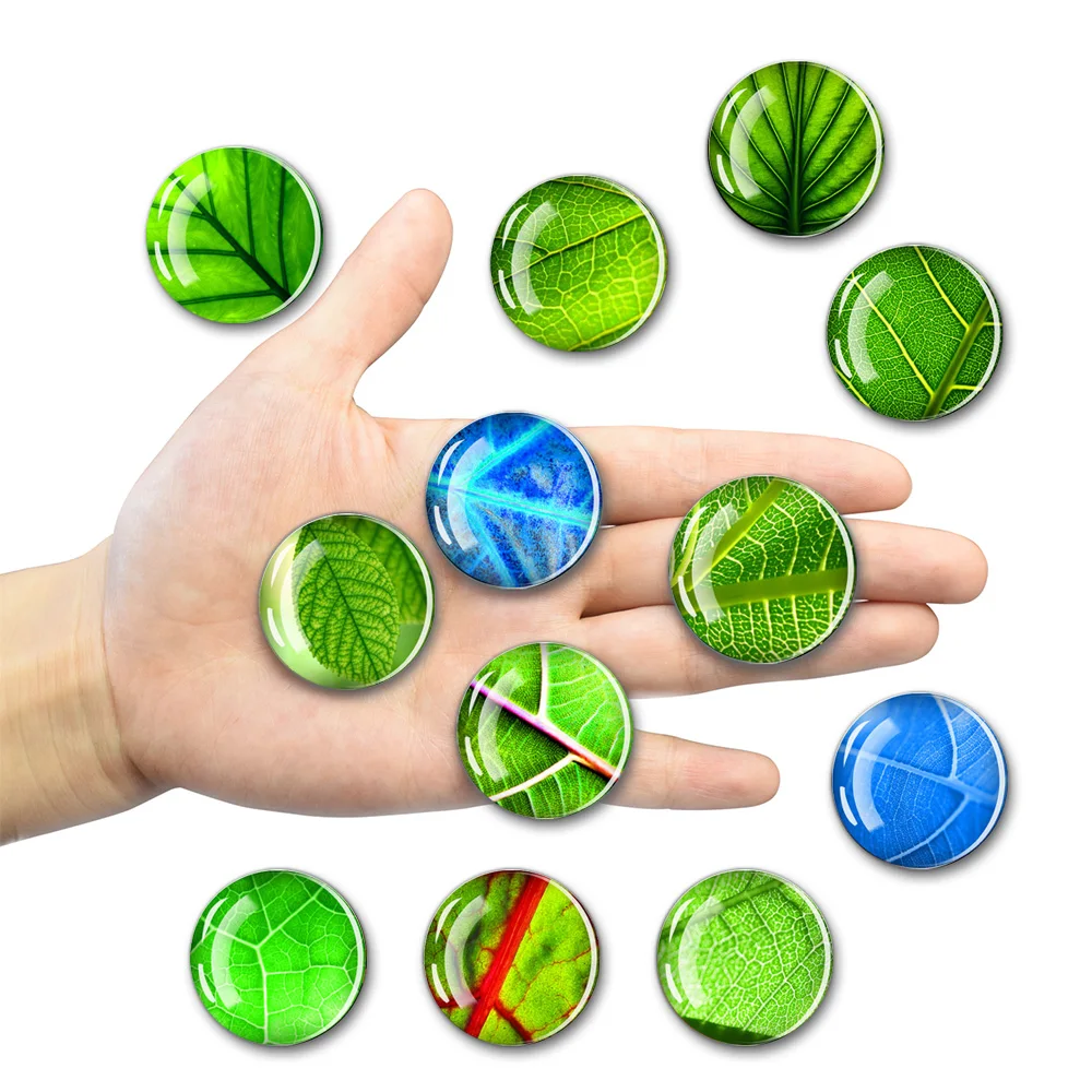 Refrigerator Magnet with Leaf Texture  Kitchen Decoration  Sticker Note Memo Attachment  30mm  12Pcs