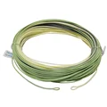 3 Color 2 loops