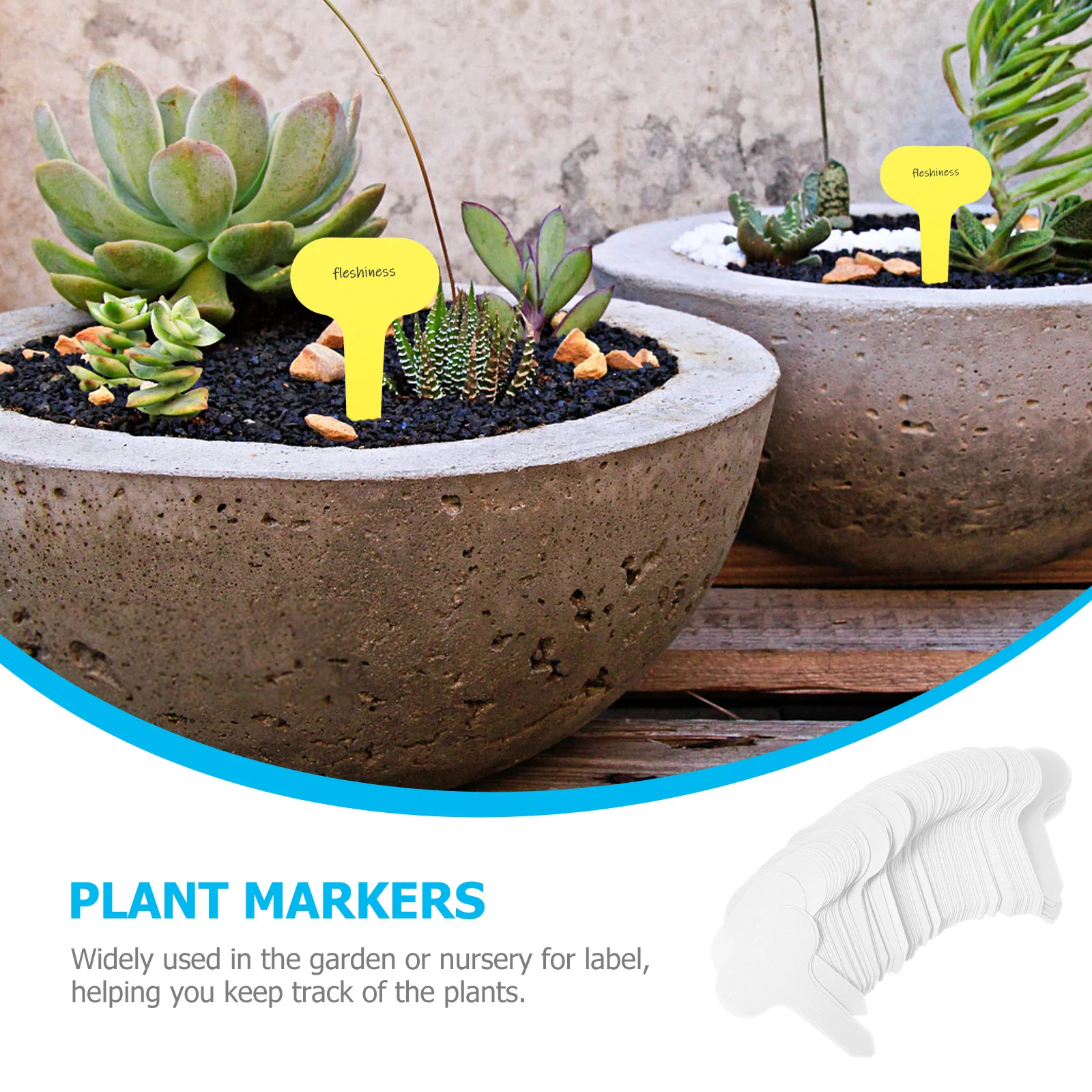 

100Pcs Plant Labels T Shape Design Durable Garden Tags for Nursery Easy Insertion Stylish Decor for Flower Lovers