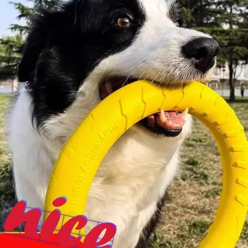 Juguete para Perros Resistente a Mordidas, Frisbee de Entrenamiento, Consumo de Energía Física, Diversión Individual, Anillo Circular para Masticar, Anillo de Tensión para Mascotas, 18 cm