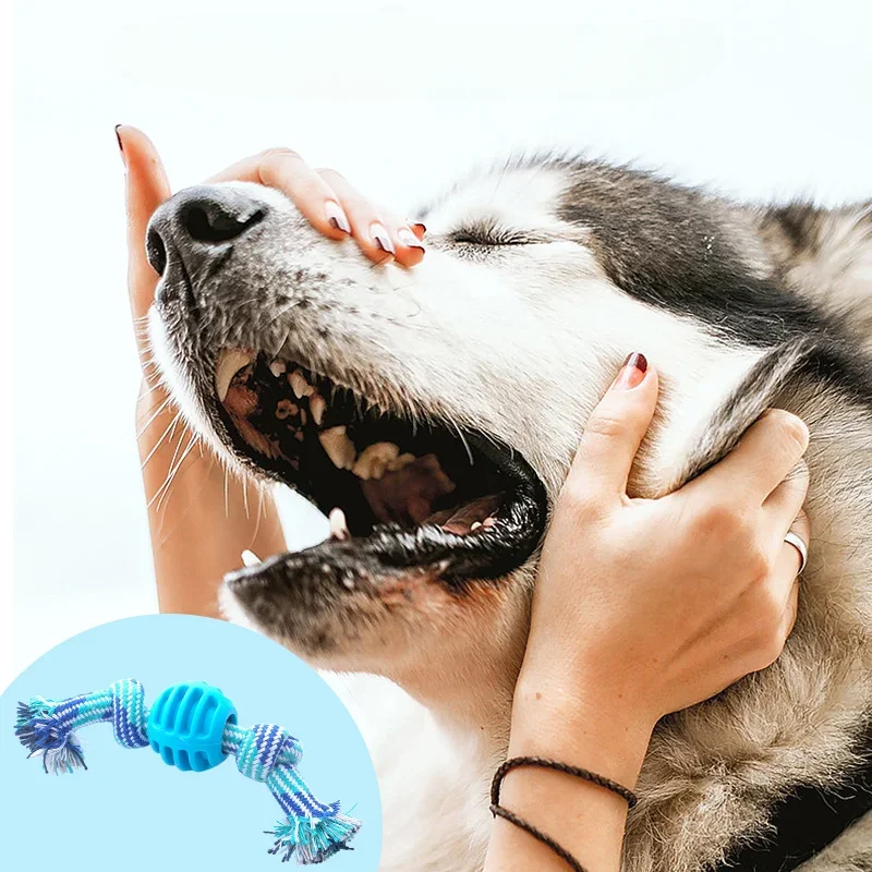 Dog Toy Cotton Rope Double Knot Ball Bite Resistant Teeth Cleaning Toy Ball Pet Toy Bite Resistant  dog Toys for small dog - Image 5