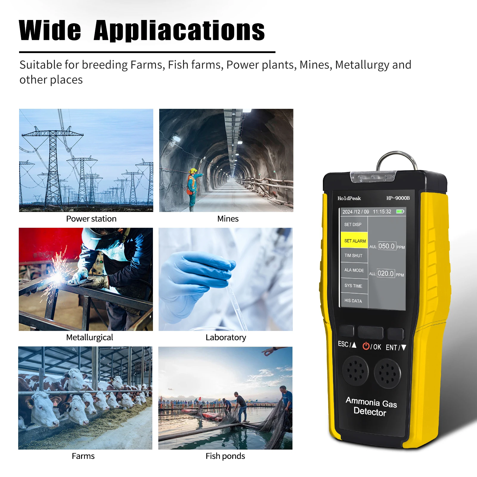 

Portable Continuous Quantitative 0-100ppm Analysis Ammonia Gas HoldPeak HP-9000B Detector Rechargeable with LCD Screen DualAlarm