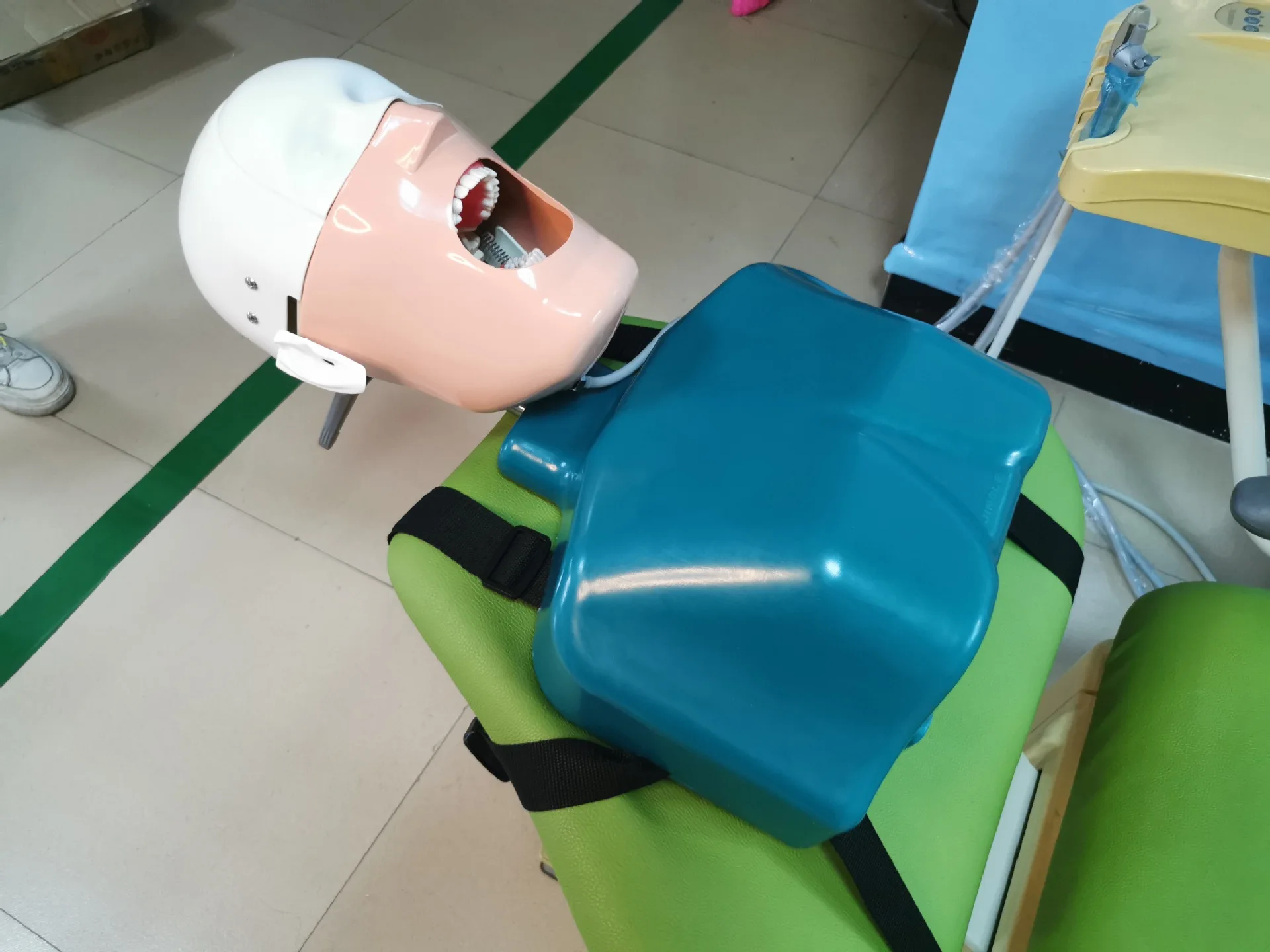 Dental Teaching Model, Plastic Tied Rope Phantom Head, Simulation Practice Model, Educational Science Equipment