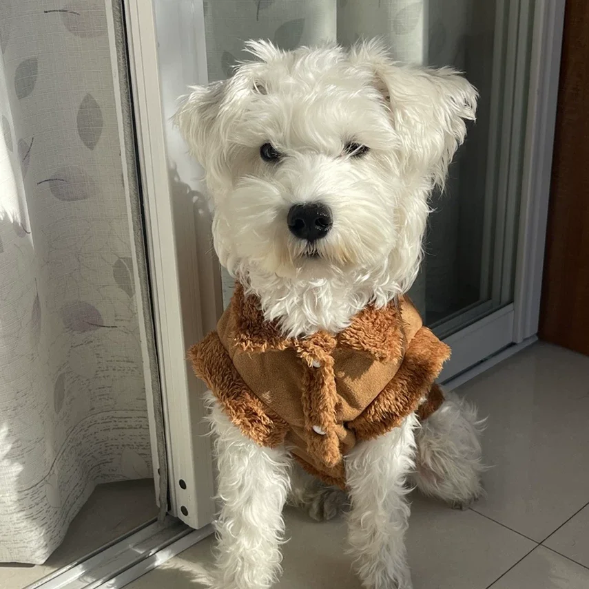 Chalecos de Felpa para Perros de Invierno, Ropa Cálida para Mascotas, para Perros Pequeños y Medianos, Chaquetas para Cachorros, Yorkshire Terrier, Ropa para Perros