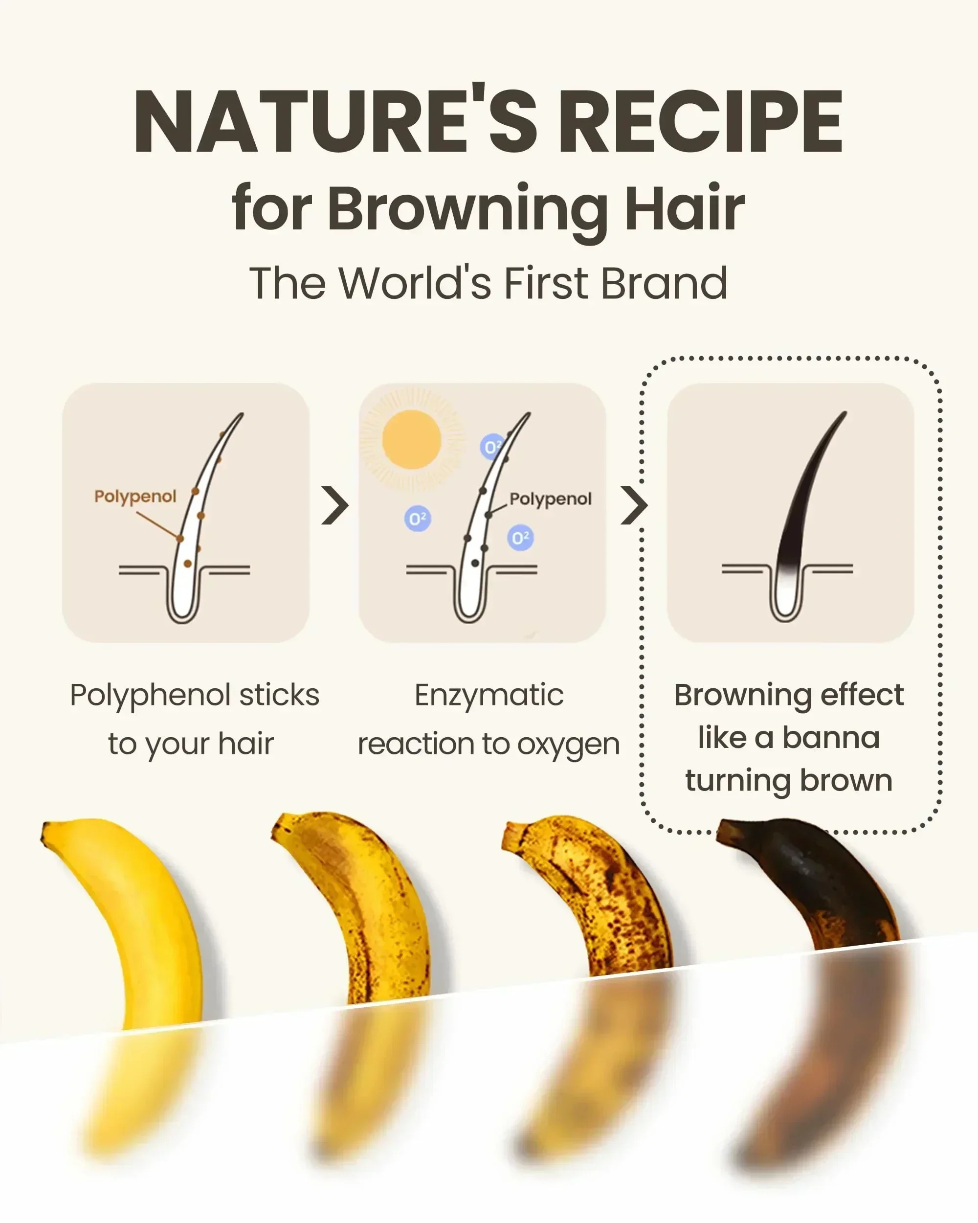 Serum gratis Dez rambut abu-abu produk nutrisi perbaikan 3%체 ke Hitam Pera Status Hairpin Pria Wanita