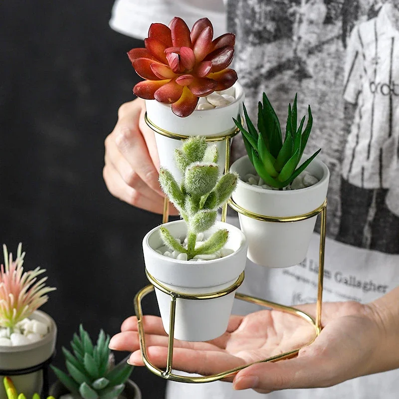 

Mini Three Flowerpots for Succuelnts Cactus, Ceramic Planter Pot with Metal Stand, Modern Nature Flower Pot for Home Table Decor