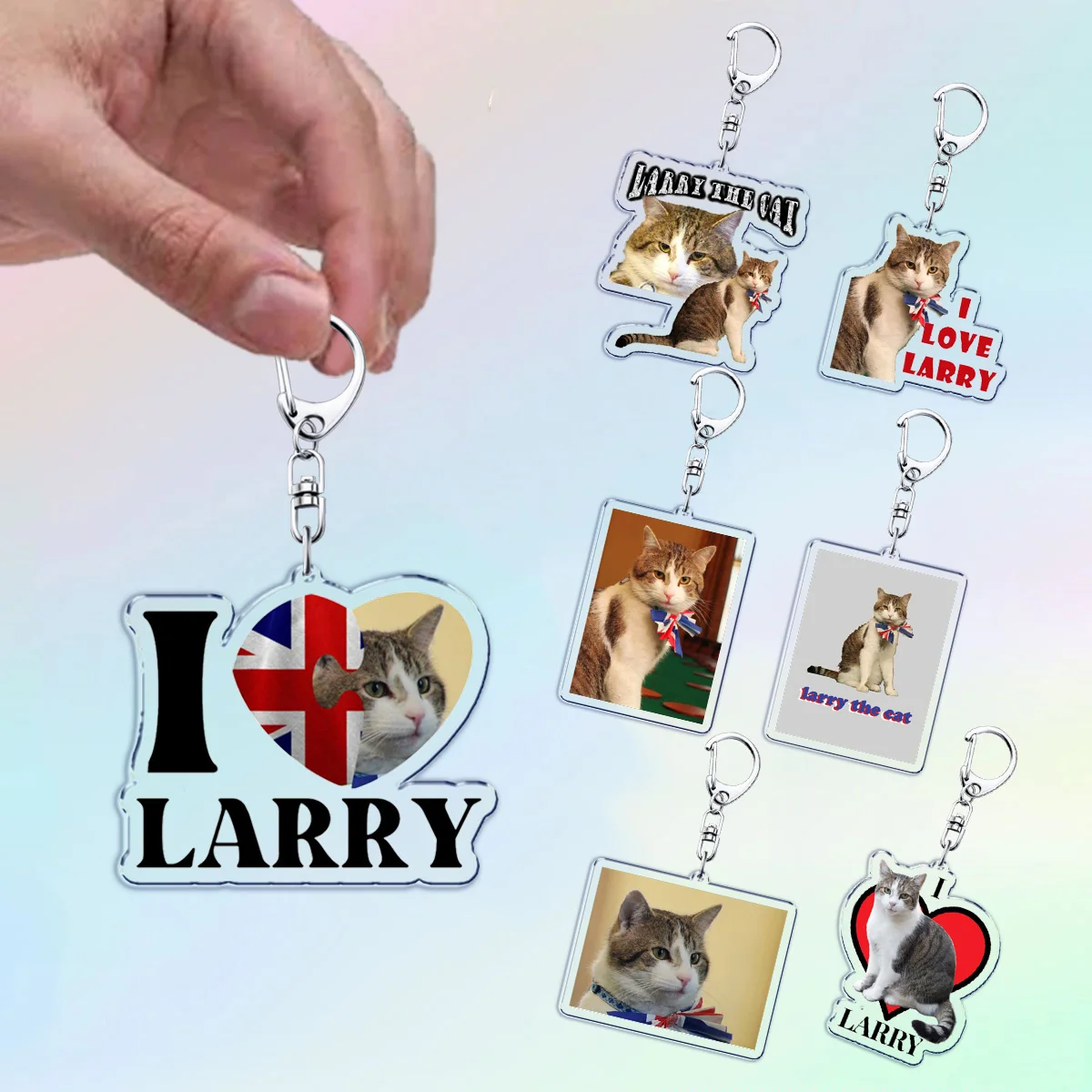 Cute Cat Larry Cat Keychain Accessories Bag Woman Charms Animal Pet Keyrings Jewelry Fans Friends Gift