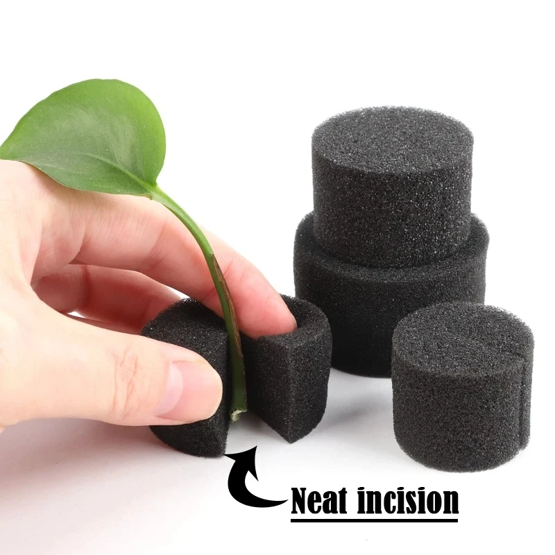 100Pcs Bodenlosen Hydrokultur Gartenpflanzen Werkzeuge Gepflanzt Schwamm Gemüse Anbau System Kindergarten Samen Pflanzung Tabletts Schwamm – Detail 4