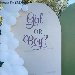 Baby Gender Identification Party Boy And Girl Party Welcome Baby Meet And Greet Personalised Wall Decals Stickers