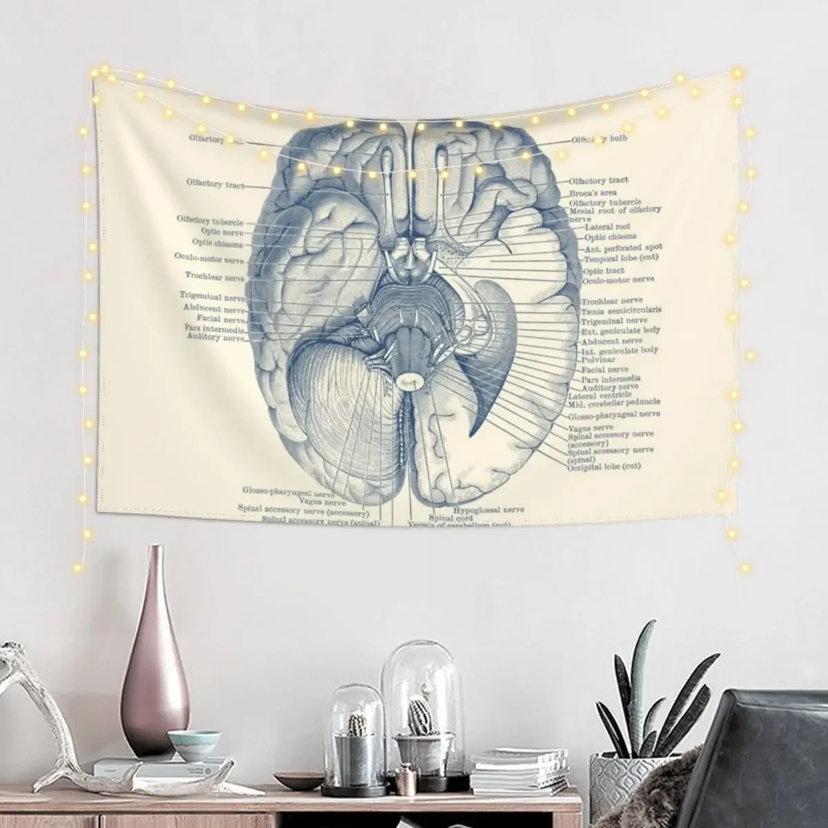 Brain Nervous System Diagram Tapestry Decoration Bedroom Home Decorating Bedrooms Decor Korean Room Decor Tapestry