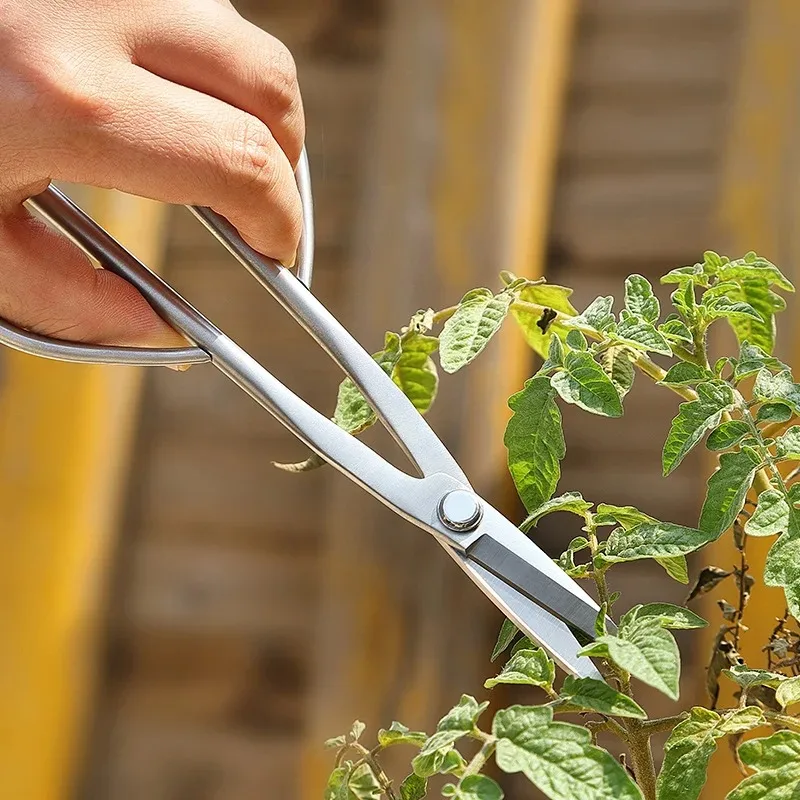 

Young Leaf Pruning Flower Art All-in-one Pruning Flower Art Scissors Tool
