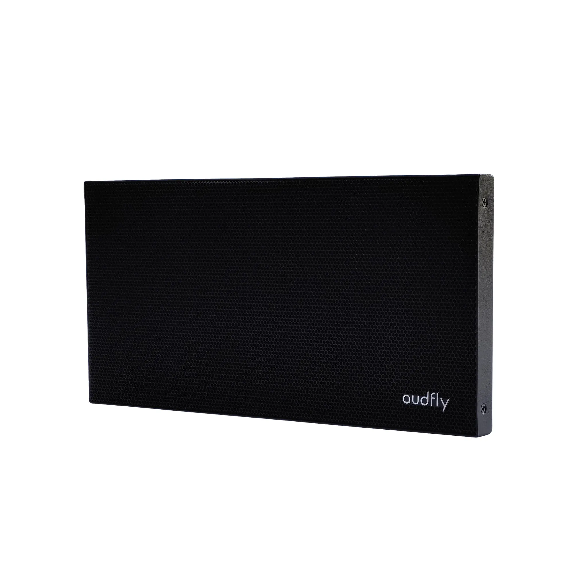 2026 Audfly 2026 Best Selling Vesa Mount Slim Ultrasonic Technology Ultrasound Directional Sound Speakers for Public Spaces