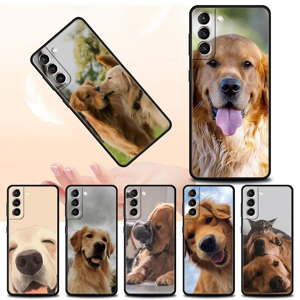 Labrador Golden Ret… - image