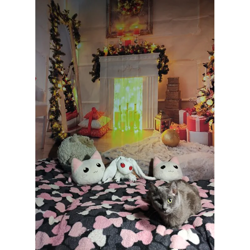 Natürliche landschaft fotografie hintergrund fall verlässt wald landschaft foto hintergründe studio requisiten QQTT-08