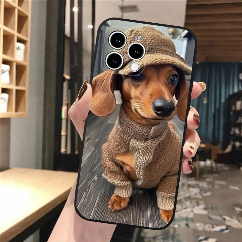

Phone Case Carcasa Funda For iPhone 17 Pro Max 17 Air 16 15 14 13 Pro Max 15 16 Pro 15Plus Dachshund Dog