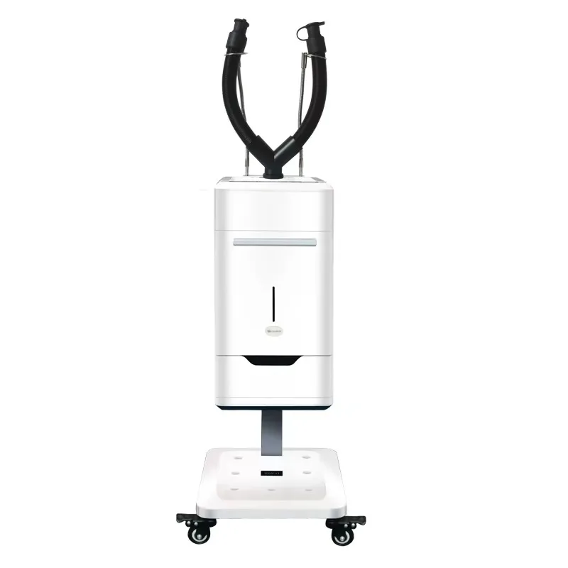 

Woman Hair Salon Equipment Products and Accessories for 650w220v Steamer Micro Spa Machine With High Quality