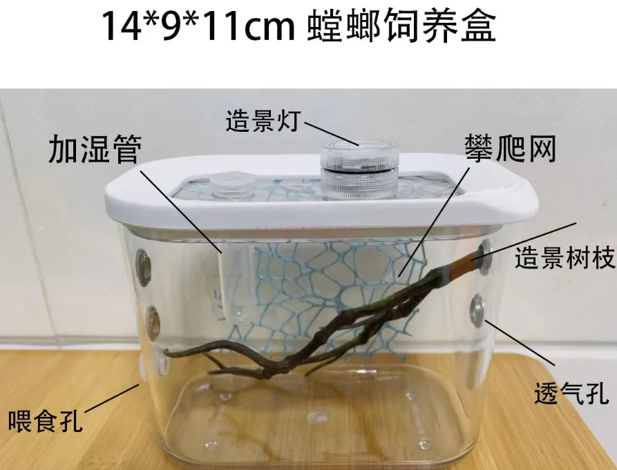 Hymenopus coronatus breeding box, stick insect, grasshopper, reptile, ecological box, insect cage, chirping pet