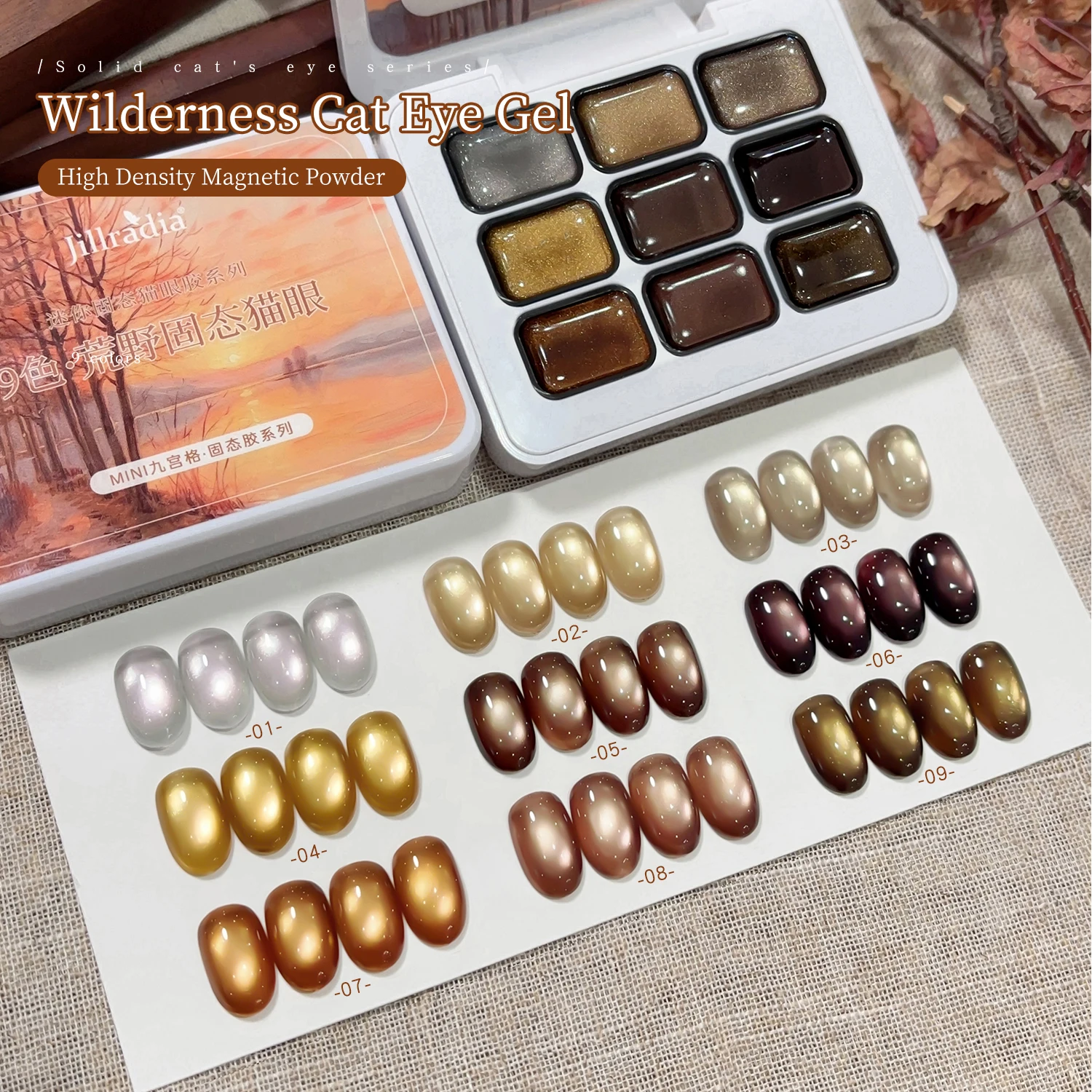 

9pcs MORDDA NAIL SET Magnetic Cat Eye Gel Solid High-Density Gel Set for Professional Salon Nail Art