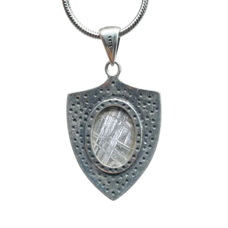4.7g Gibeon Meteorite Pendant Shield Shape Natural Iron Meteorite Slice Necklace Mineral Collection Jewelry Gift -LK315