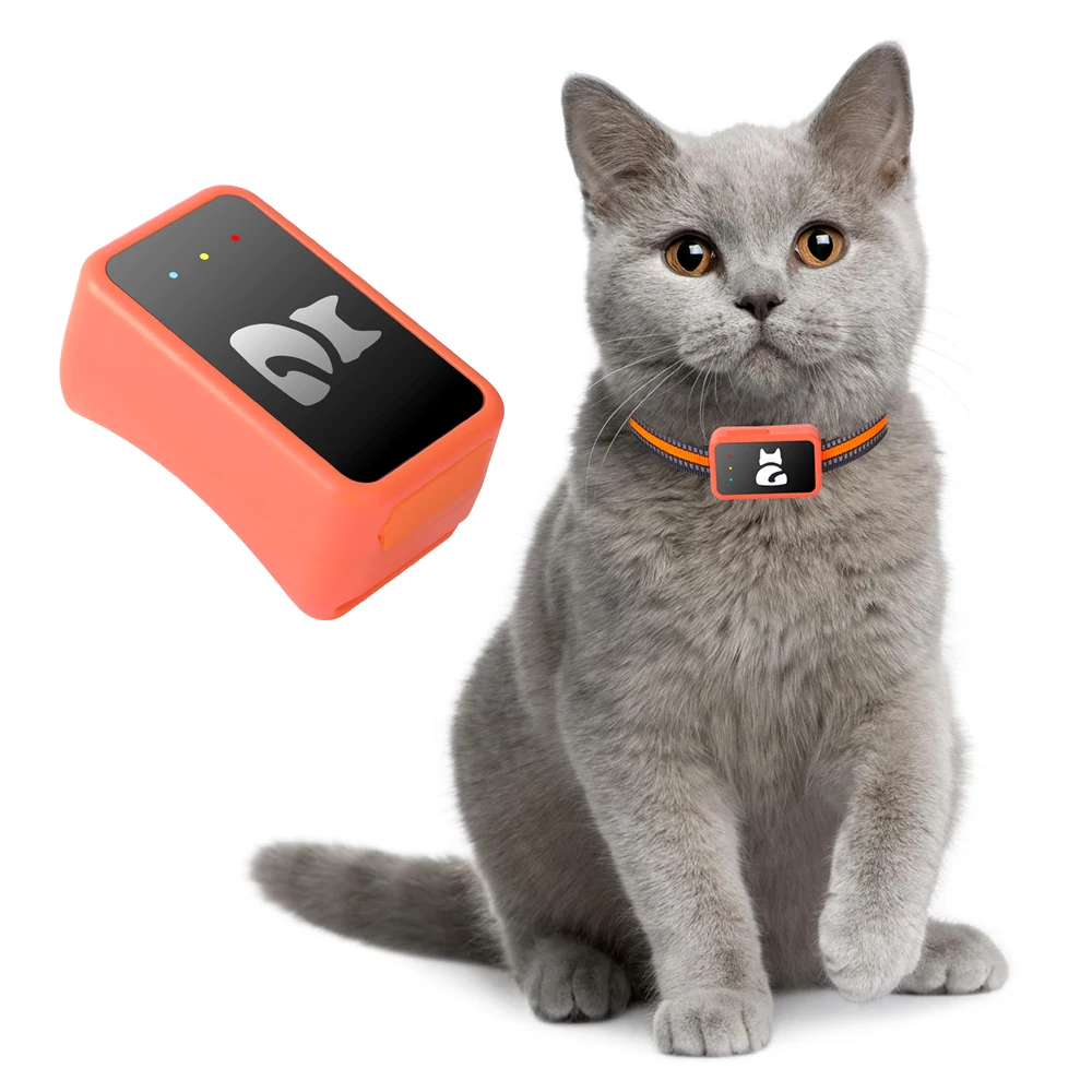 

Best Price G68P 4G Pet GPS Tracker for Dog Cat Activity Monitoring With Free APP No Subscription No Distance Restriction