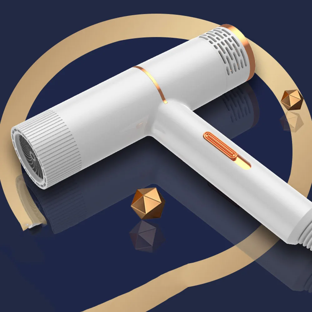 Dog Grooming Dryer Pet Hair Cat Blower Warm Wind 1000w Eu Plug Cold Hot Air With Heater For Medium Small Puppy