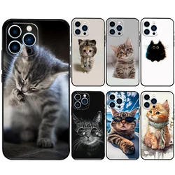 Kitted Cats Cute Case For iPhone 11 12 13 14 16 15 Pro Max 7 8 Plus 12 13 Mini XS MAX X XR Cover Coque