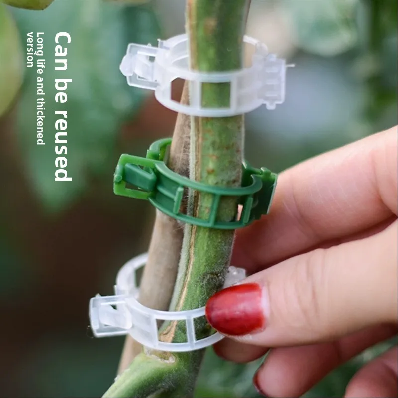 

Vine clamps, lashing, buckles, green plants, climbing