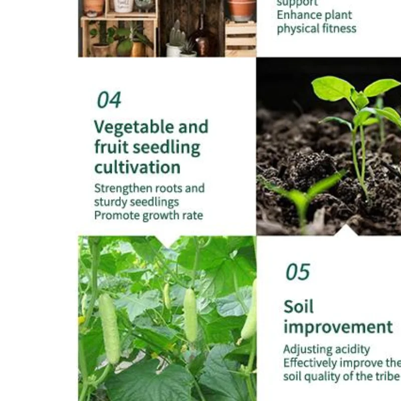 Compost Bacteria Solution for Roots Daily Crop Absorption Enhancer For Professional and Home Agriculture Purposes