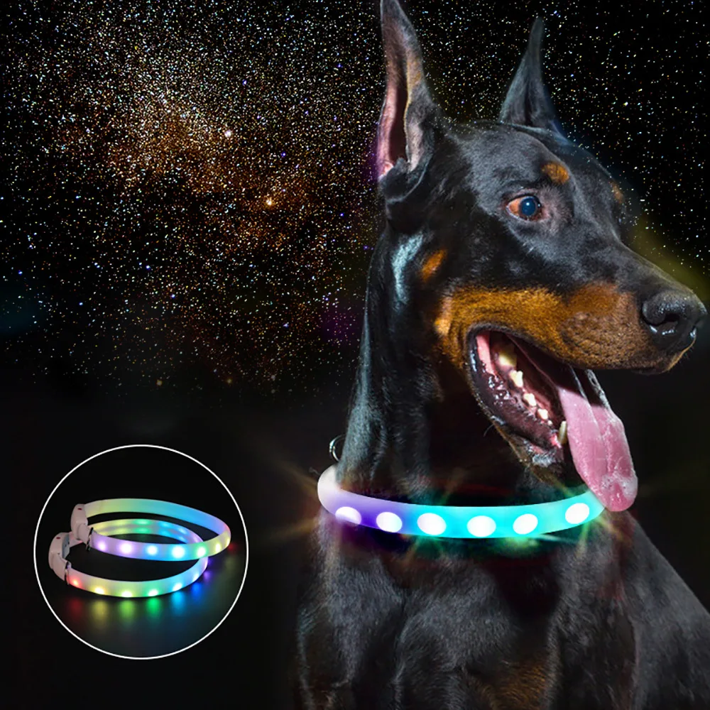 

65cm Pet Dog Collar USB Rechargeable Dog LED Glowing Collar Outdoor Walking Dog Night Safety Flashing Collar Pet Collar