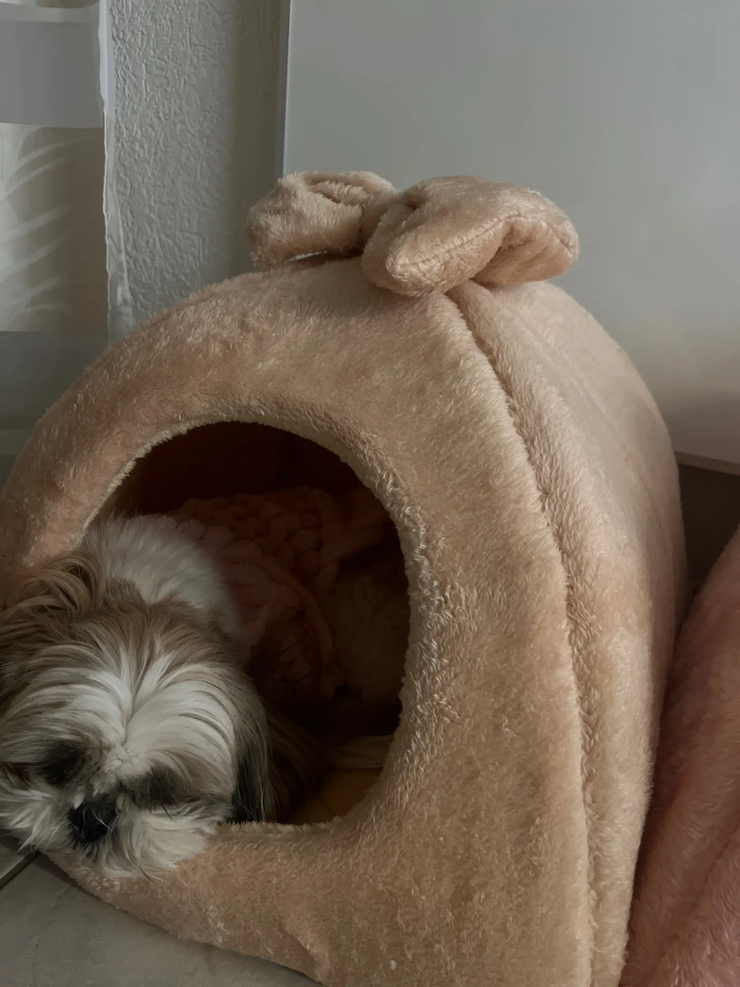 Winter Warme Haustier Hund Haus Katze Bett Matte Abnehmbare Zwinger Nest Haustier Korb Weiche Bequeme Kätzchen Schlafen Haustier Nest Katzen Produkt – Detail 11