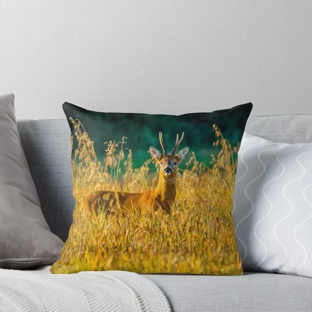 

Roe Buck in the golden morning light Throw Pillow Couch Pillows Christmas Covers Sofa Pillow Cover pillow