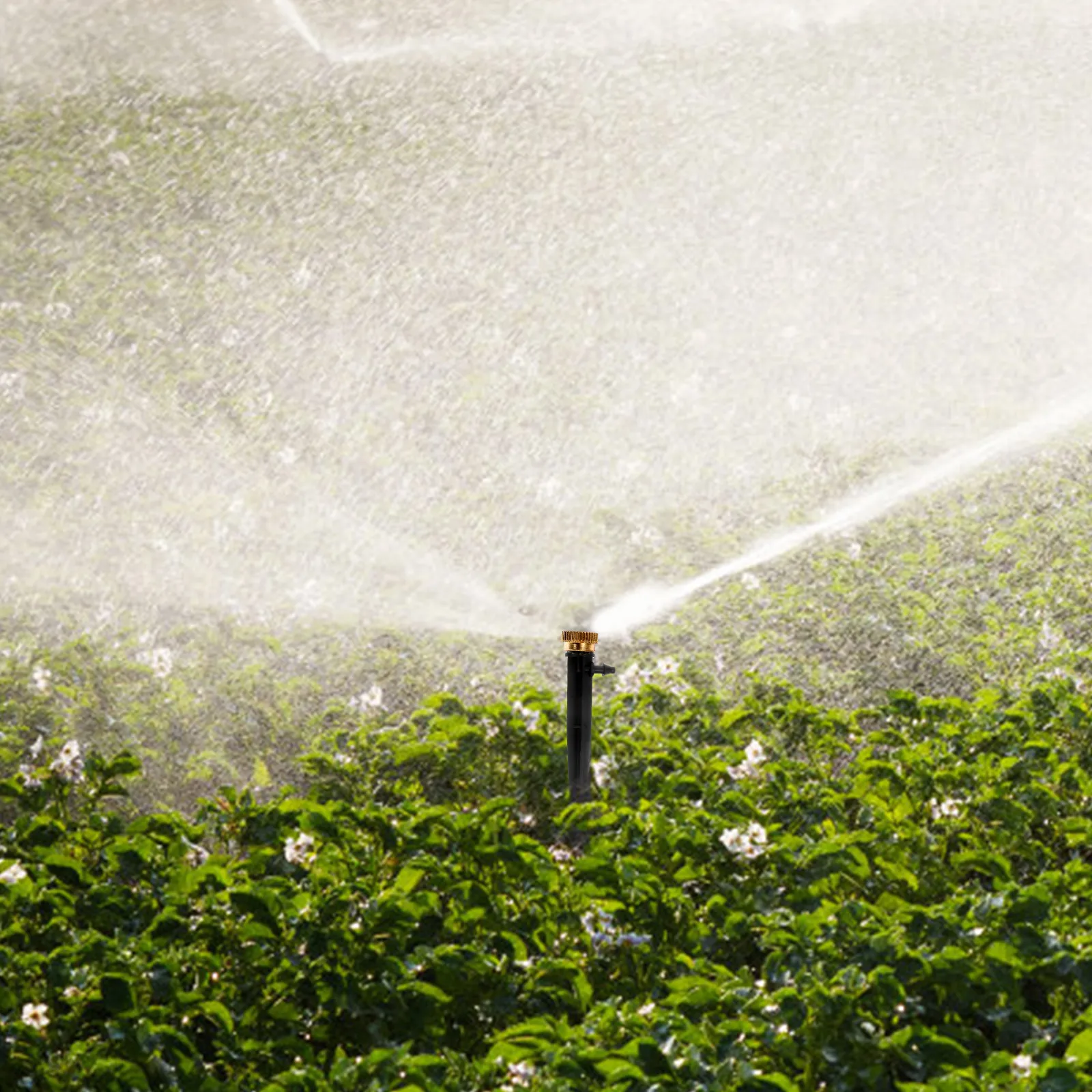 

30 in Brass Nozzle Lead-free Nozzles Misting for Cooling Stystem Golden Low Pressure